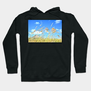 Caribbean Beach Hoodie